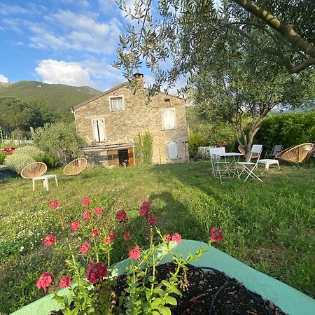 Casa Orani Vila Ponte-Leccia Exterior foto