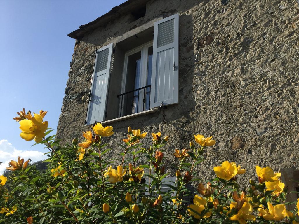 Casa Orani Vila Ponte-Leccia Quarto foto