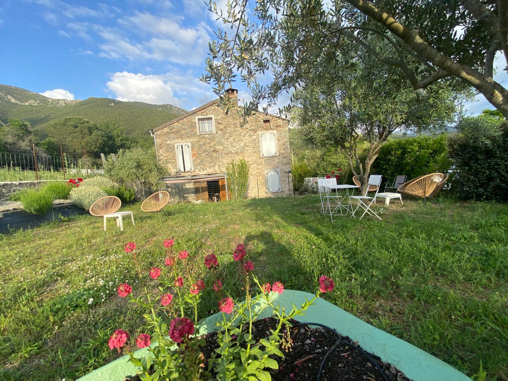 Casa Orani Vila Ponte-Leccia Exterior foto